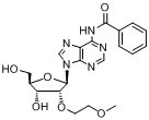 N6-苯甲?；?2'-O-(2-甲氧基乙基)腺苷